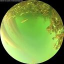 ./images/calvert/underwater/20260716/underwater20260716_162501M.jpg