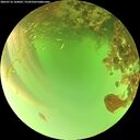 ./images/calvert/underwater/20260716/underwater20260716_164001M.jpg