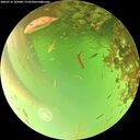 ./images/calvert/underwater/20260716/underwater20260716_165001M.jpg