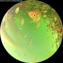 ./images/calvert/underwater/20260716/underwater20260716_165501M.jpg