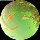 ./images/calvert/underwater/20260716/underwater20260716_170002M.jpg