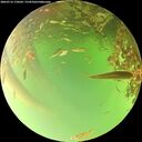 ./images/calvert/underwater/20260716/underwater20260716_170501M.jpg