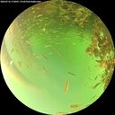 ./images/calvert/underwater/20260716/underwater20260716_172001M.jpg