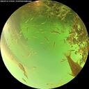 ./images/calvert/underwater/20260716/underwater20260716_173501M.jpg