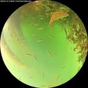 ./images/calvert/underwater/20260716/underwater20260716_174001M.jpg