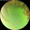 ./images/calvert/underwater/20260716/underwater20260716_174502M.jpg
