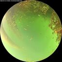./images/calvert/underwater/20260716/underwater20260716_175002M.jpg