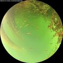 ./images/calvert/underwater/20260716/underwater20260716_175501M.jpg