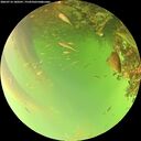 ./images/calvert/underwater/20260716/underwater20260716_180501M.jpg