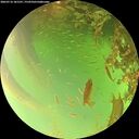 ./images/calvert/underwater/20260716/underwater20260716_181501M.jpg
