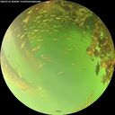 ./images/calvert/underwater/20260716/underwater20260716_184001M.jpg