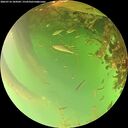 ./images/calvert/underwater/20260716/underwater20260716_184502M.jpg