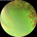 ./images/calvert/underwater/20260716/underwater20260716_190001M.jpg