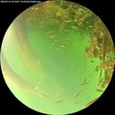 ./images/calvert/underwater/20260716/underwater20260716_191002M.jpg