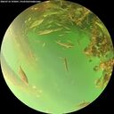 ./images/calvert/underwater/20260716/underwater20260716_193001M.jpg