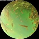 ./images/calvert/underwater/20260716/underwater20260716_193501M.jpg