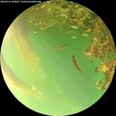 ./images/calvert/underwater/20260716/underwater20260716_194002M.jpg