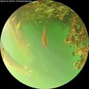 ./images/calvert/underwater/20260716/underwater20260716_194501M.jpg