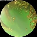 ./images/calvert/underwater/20260716/underwater20260716_201501M.jpg