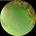 ./images/calvert/underwater/20260716/underwater20260716_202501M.jpg