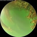 ./images/calvert/underwater/20260716/underwater20260716_203001M.jpg
