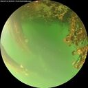 ./images/calvert/underwater/20260716/underwater20260716_203501M.jpg