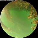 ./images/calvert/underwater/20260716/underwater20260716_205002M.jpg