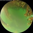 ./images/calvert/underwater/20260716/underwater20260716_205501M.jpg