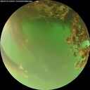 ./images/calvert/underwater/20260716/underwater20260716_210501M.jpg