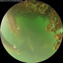 ./images/calvert/underwater/20260716/underwater20260716_211501M.jpg