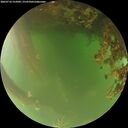 ./images/calvert/underwater/20260716/underwater20260716_212001M.jpg