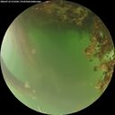 ./images/calvert/underwater/20260716/underwater20260716_212501M.jpg