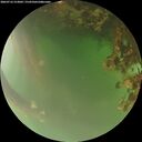 ./images/calvert/underwater/20260716/underwater20260716_213001M.jpg
