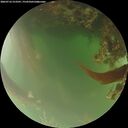 ./images/calvert/underwater/20260716/underwater20260716_213501M.jpg