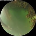 ./images/calvert/underwater/20260716/underwater20260716_214001M.jpg