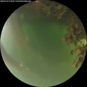 ./images/calvert/underwater/20260716/underwater20260716_214501M.jpg