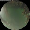./images/calvert/underwater/20260716/underwater20260716_220001M.jpg