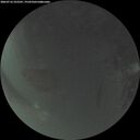 ./images/calvert/underwater/20260716/underwater20260716_222501M.jpg