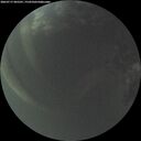 ./images/calvert/underwater/20260717/underwater20260717_045501M.jpg