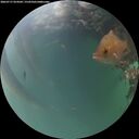 ./images/calvert/underwater/20260717/underwater20260717_054502M.jpg