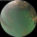./images/calvert/underwater/20260717/underwater20260717_061501M.jpg