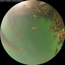 ./images/calvert/underwater/20260717/underwater20260717_064001M.jpg