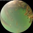 ./images/calvert/underwater/20260717/underwater20260717_065002M.jpg