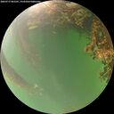 ./images/calvert/underwater/20260717/underwater20260717_065501M.jpg