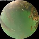 ./images/calvert/underwater/20260717/underwater20260717_070002M.jpg