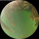./images/calvert/underwater/20260717/underwater20260717_070501M.jpg