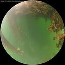 ./images/calvert/underwater/20260717/underwater20260717_071501M.jpg