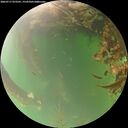 ./images/calvert/underwater/20260717/underwater20260717_073502M.jpg
