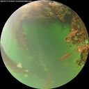 ./images/calvert/underwater/20260717/underwater20260717_074502M.jpg