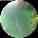 ./images/calvert/underwater/20260717/underwater20260717_093501M.jpg
